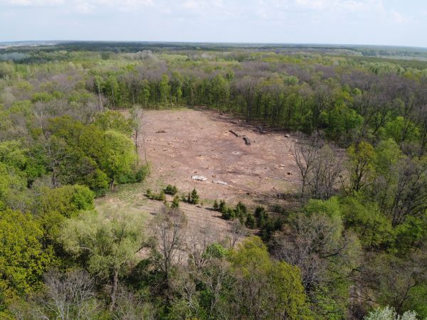 Chapel Hill Land Clearing