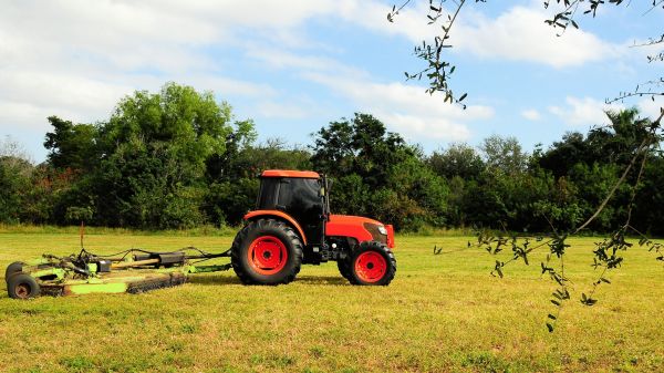 Chapel Hill Bush Hogging
